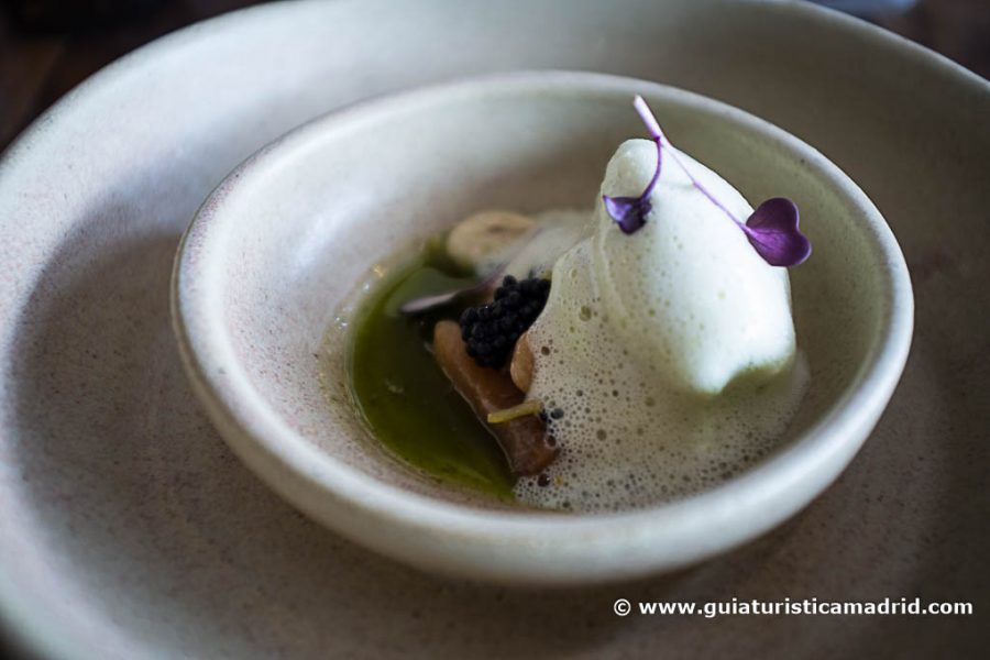'Ceviche' de trucha marinada en gin-tonic, con leche de tigre, aire de leche y helado de manzana verde